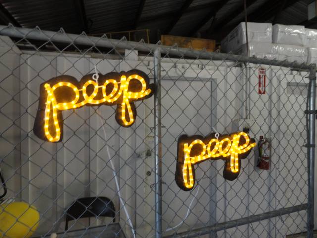example of using rope lighting to spell our the word peep