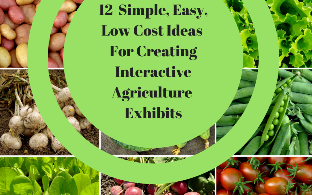 cover of book 12 simple easy low cost ideas for interactive agriculture exhibits